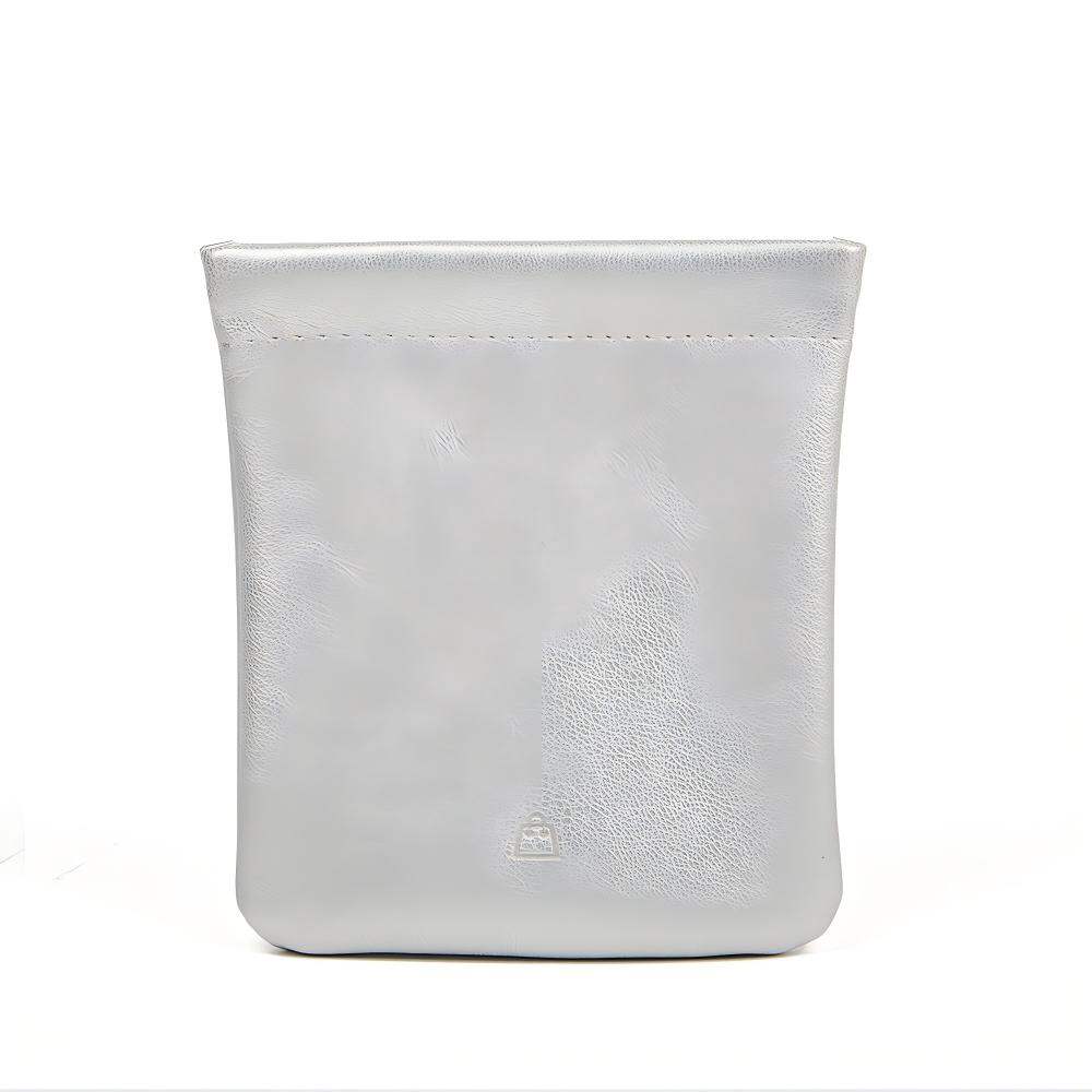 Silver Color Picture2