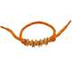 Oranje Afbeelding10