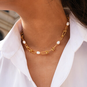 Simple Series Daily Chain Stainless Steel Waterproof Gold Color Women's Chain Necklaces h5 Picture3