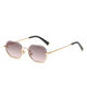Gouden frame, grijs-roze kleurverloop C3 Afbeelding3