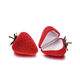 Red/F Picture11