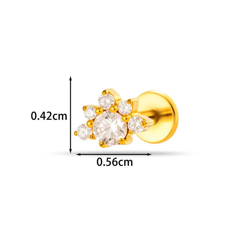 Luxury Simple Irregular Fish Titanium Alloy   Gold Color  Zircon Women's Piercing Earrings h5 Picture2