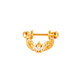 Gold Picture13