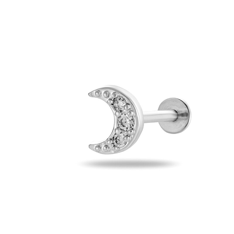Silver Color Picture15