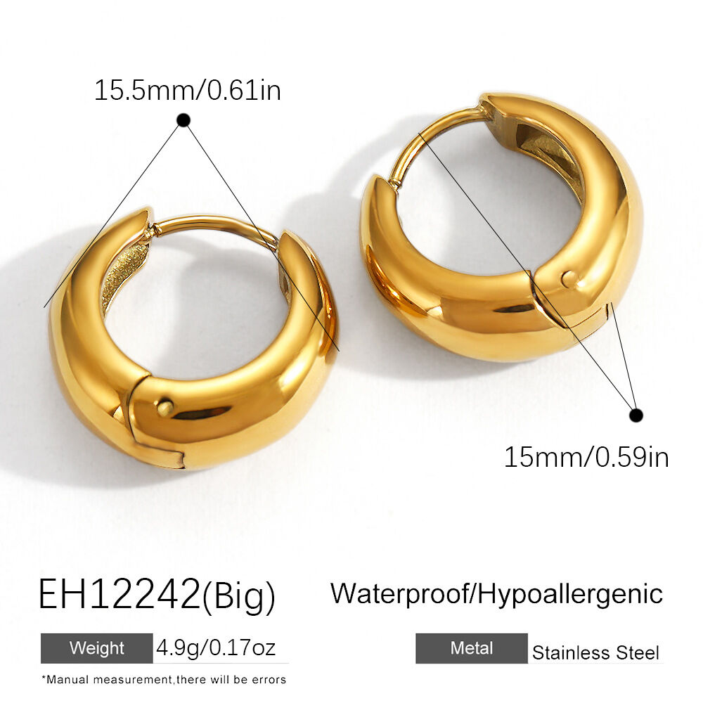 Simple Star Stainless Steel Waterproof Gold Color Zircon Women's Hoop Earrings h5 