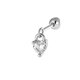 2632-2# Silver Picture7