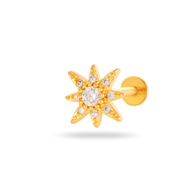 Gold Color Picture30