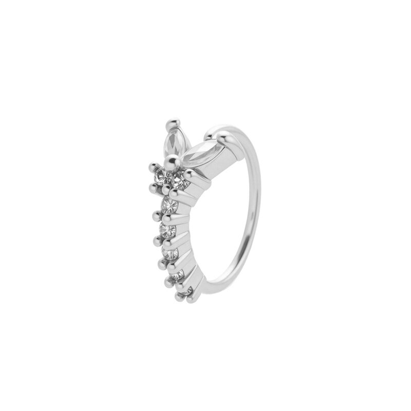 Silver Color Picture9