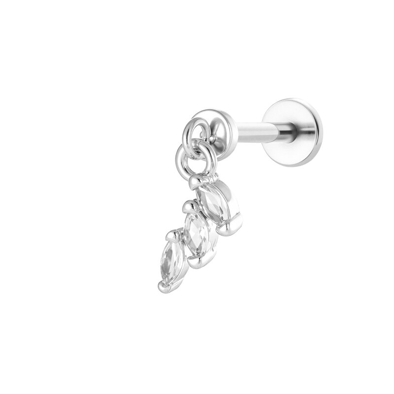 2637-10# Silver Picture20