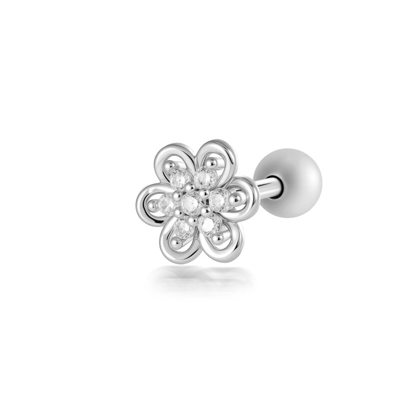 2646-2# Silver Picture10