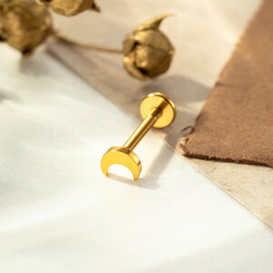 Simple Moon Stainless Steel Waterproof Gold Color Women's Piercing Earrings h5 Picture6