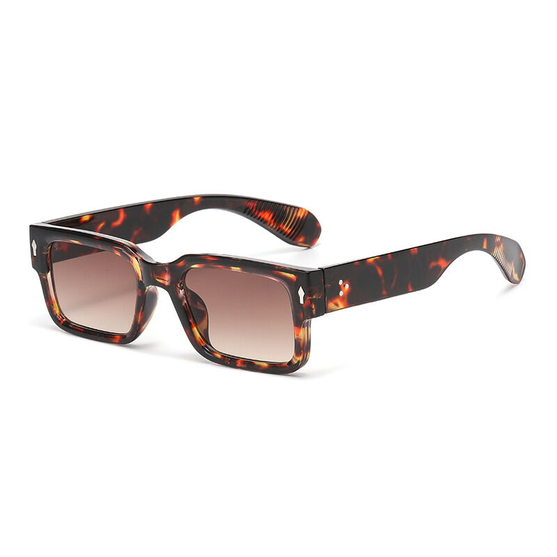 Simple Series Retro Leopard Print Mixed Color Sunglasses 2