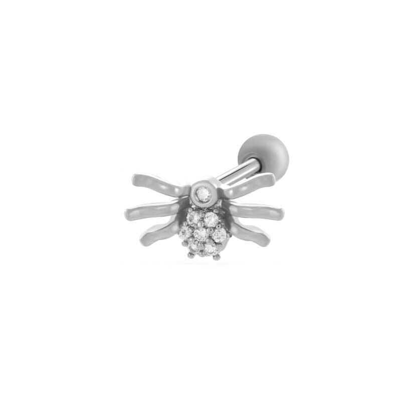 Silver Color Picture10