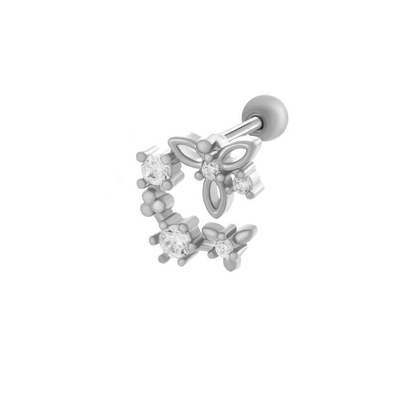 Silver Color Picture12