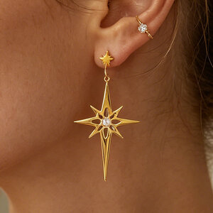 Simple Series Daily Star Stainless Steel Waterproof Gold Color Women's Stud Earrings h5 Picture5