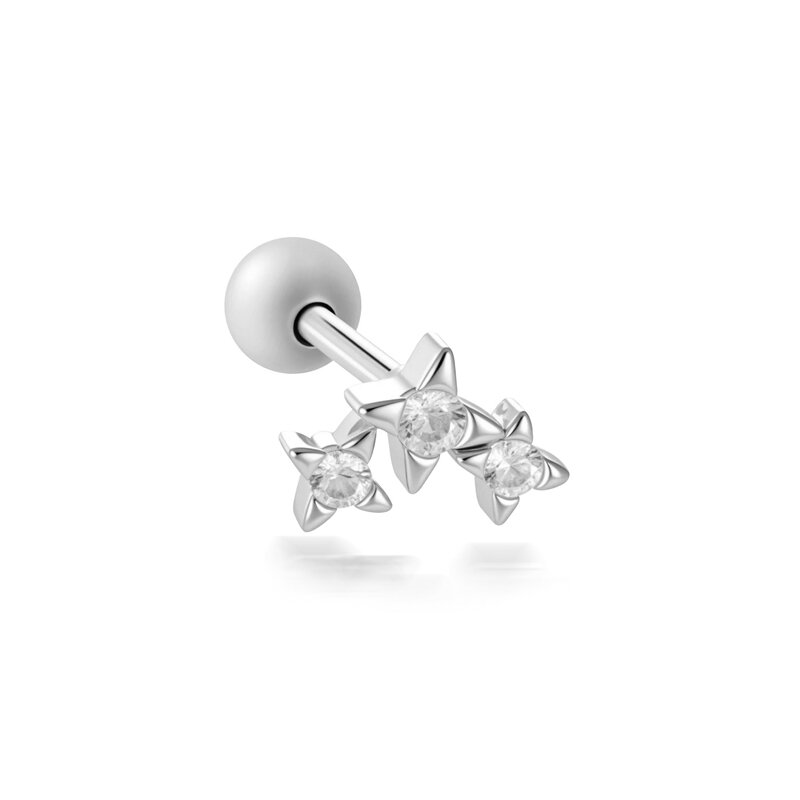 2646-7# Silver Picture15