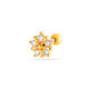 447—Gold Picture11