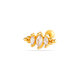 447—Gold Picture14