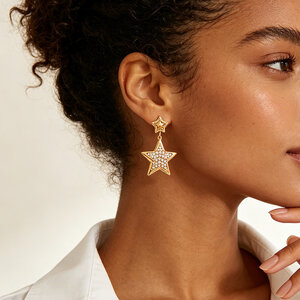 Simple Series Daily Star Stainless Steel Waterproof Gold Color Women's Stud Earrings h5 Picture2