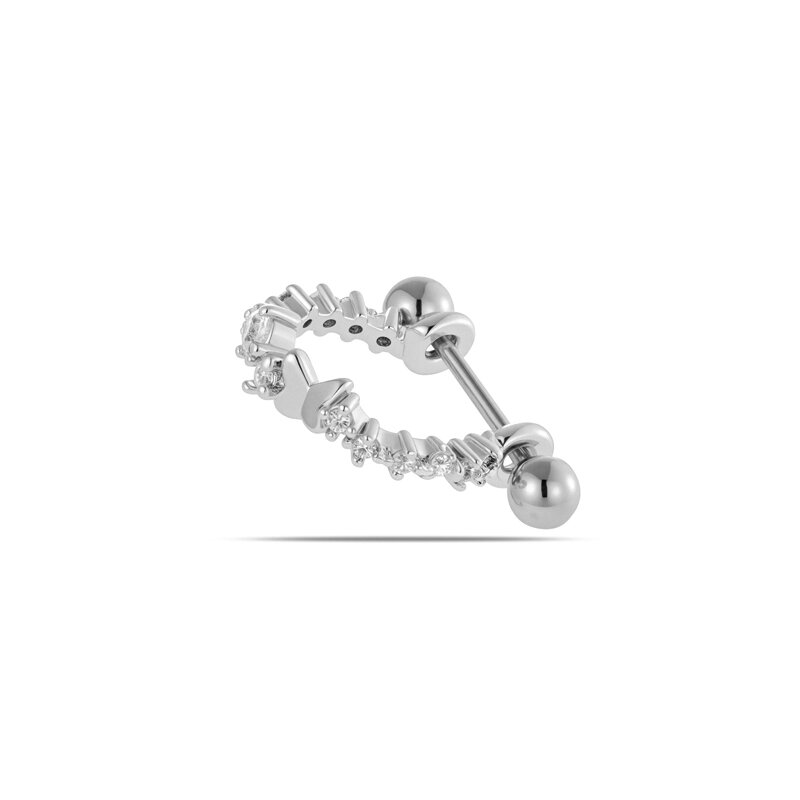 4# Silver Picture4