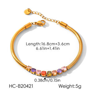 Simple Daily Chain Stainless Steel Waterproof Gold Color Zircon Women's Chain Necklaces h5 Picture2
