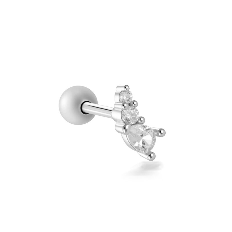 2646-4# Silver Picture12