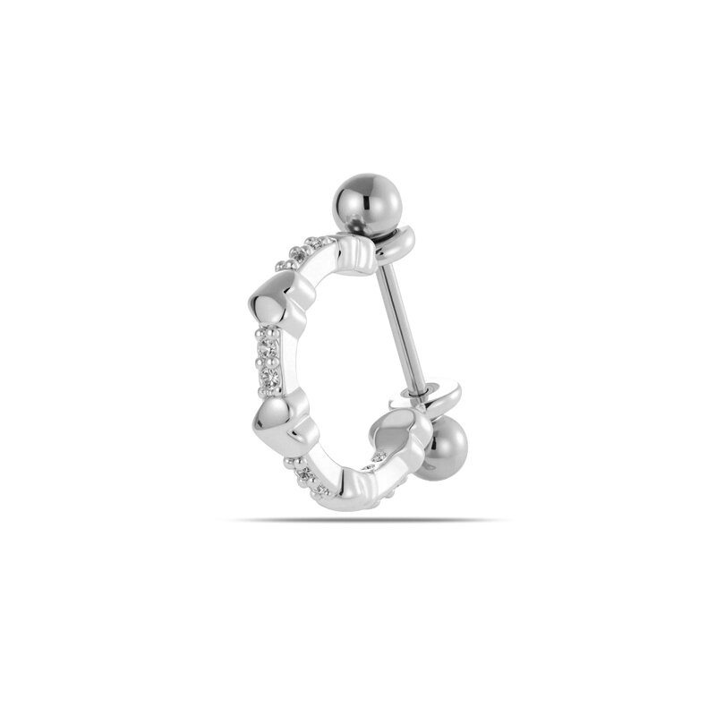 2# Silver Picture2