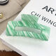 Apple Green Picture6