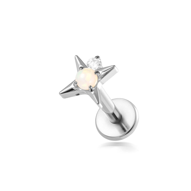 T25102-1# Silver Picture6