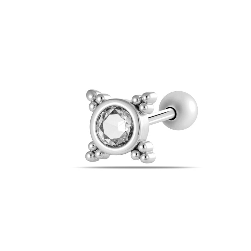 2# Silver Picture2