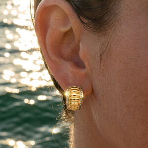 Classic Stripe Stainless Steel Waterproof Gold Color Rhinestone Women's Stud Earrings h5 Picture4