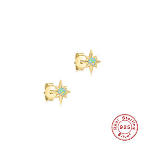 Simple Series Cute Irregular Shape Star S925 Gold Color Women's 925 Sterling Silver Color Earrings h5