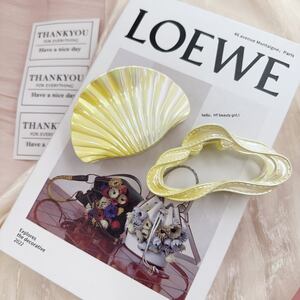 Romantic Series Simple Irregular Shape Oceanic Style Shell Gradient Color Abs Hair Claws h5 Picture5