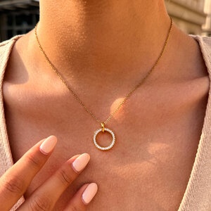 Simple Series Daily Circle Stainless Steel Waterproof Gold Color Zircon Women's Chain Necklaces h5 Picture3