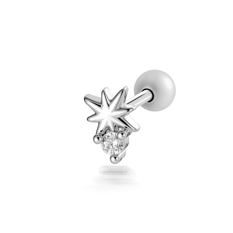 2656-5# Silver Picture5