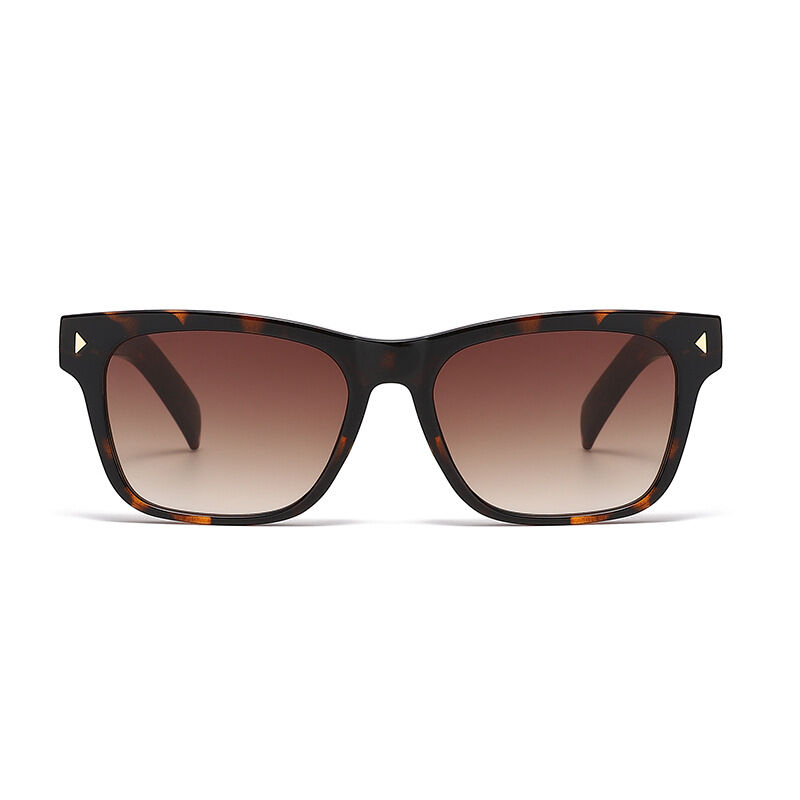 Simple Series Casual Solid Color Leopard Print Gradient Color Unisex Sunglasses Picture3