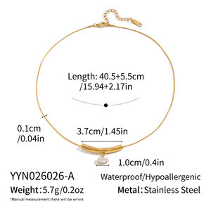 Geometric Shape Stainless Steel Waterproof Gold Color Zircon Women's Pendant Necklaces h5