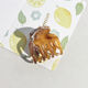 Light Brown Picture6