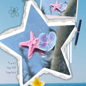 Romantic Series Sweet Starfish Acrylic Hair Clips h5 Picture2