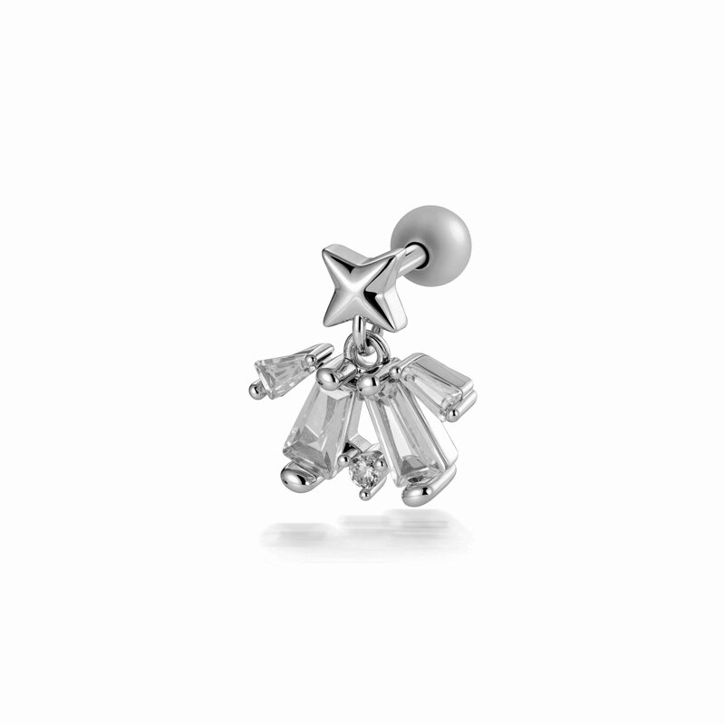 2657-5# Silber Bild13