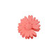 Watermelon Red Picture6