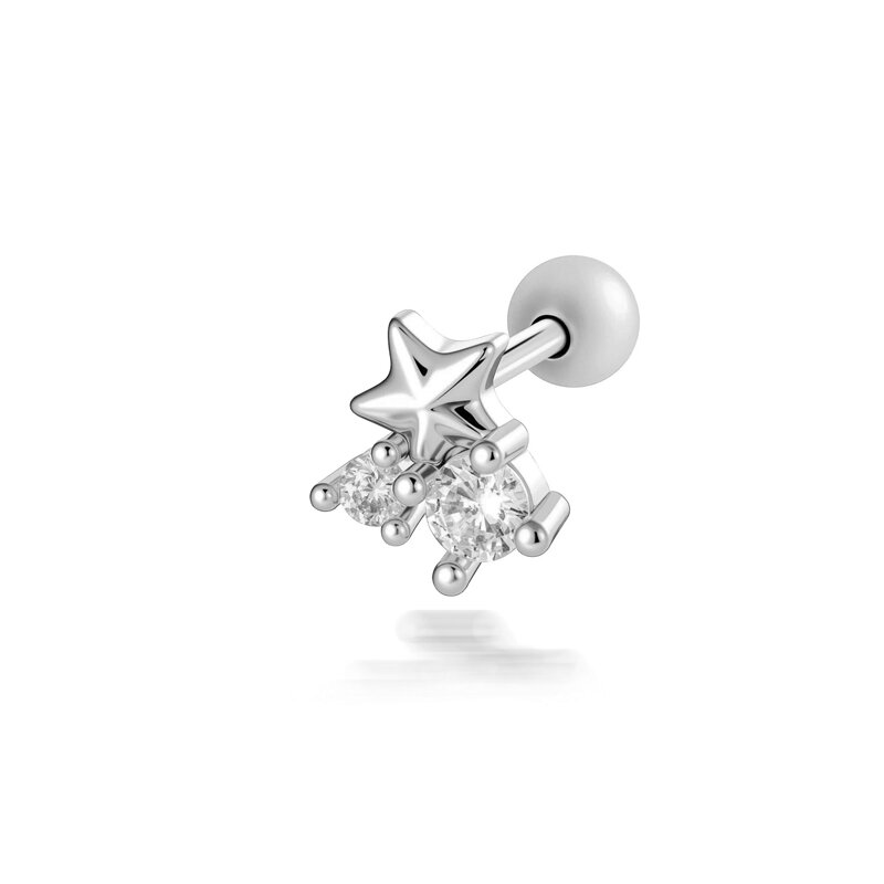 2656-6# Silver Picture6