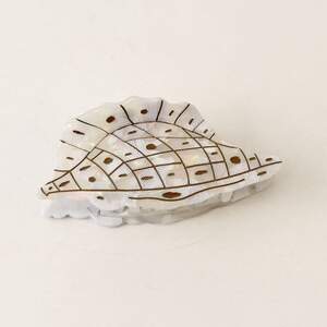 Simple Series Natural Irregular Shape Solid Color Oceanic Style Shell Acetate Hair Claws h5