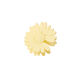 Pale Yellow Picture2