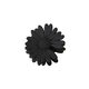 Black Picture5