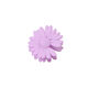 Lavender Picture4