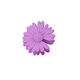 Purple Picture3