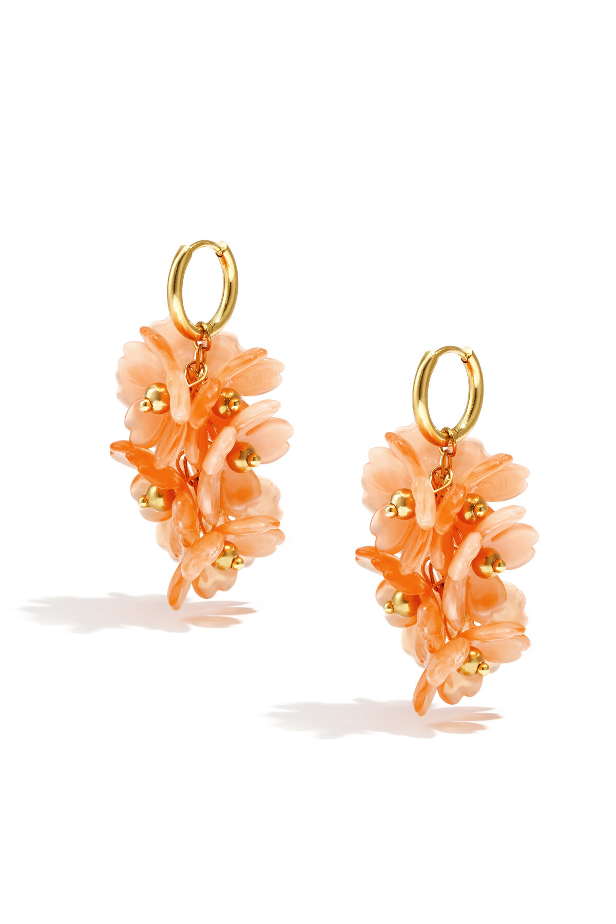 Orange Picture2