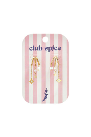 Stainless Steel Drop Earrings Star Casual Daily Luxurious Series Women's jewelry h5 Picture3