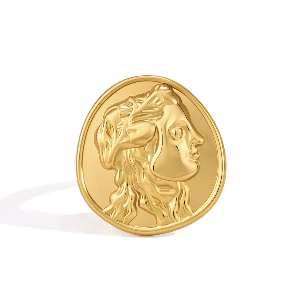 Klassieke serie retro onregelmatig gevormde figuur roestvrijstalen waterdichte gouden statement ringen h5Afbeelding5